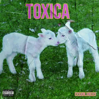 Toxica by Cxsxblxncxs