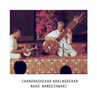 Raag Nandeshwari by Bahauddin Dagar