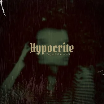 Hypocrite by Darrin Miller