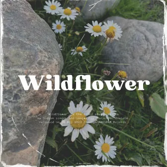 Wildflower by Shrinidhi Ghatate