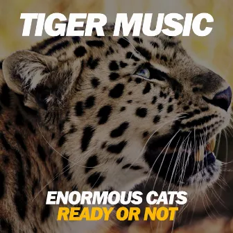 Ready Or Not by Enormous Cats