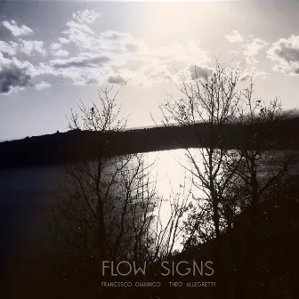 Flow Signs by Unknown Artist