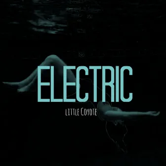 Electric by Teagan Johnston