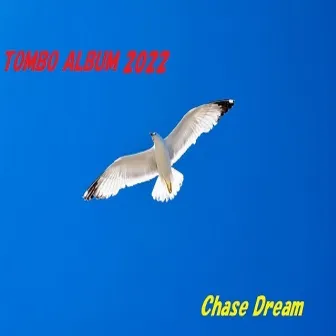 Chase Dream by Tombo