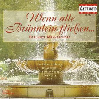 Choral Music (Male Choir) - Lyra, J.W. / Loewe, C. / Beethoven, L. Van / Silcher, F. / Alfven, H. / Schubert, F. / Grieg, E. / Schumann, R. by Andreas Wiedermann