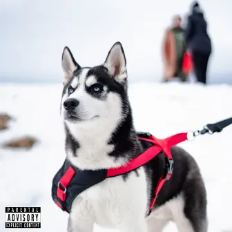 HUSKY (Remix) by Lil Spacely