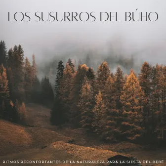 Los Susurros Del Búho: Ritmos Reconfortantes De La Naturaleza Para La Siesta Del Bebé by Sonidos De Buho