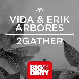 2Gather by Vida