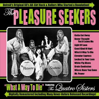 What a Way to Die by The Pleasure Seekers