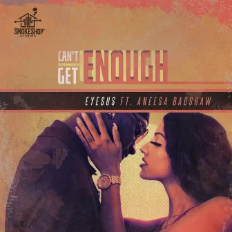 Can't Get Enough by Aneesa Badshaw