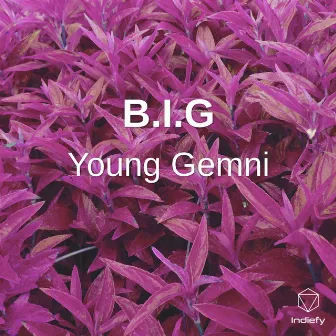 B.I.G by Young Gemni