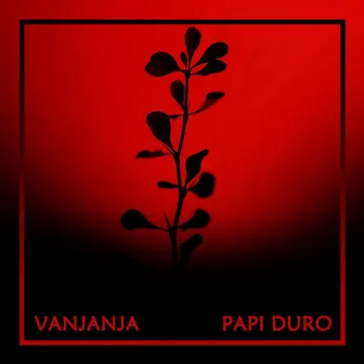 Papi Duro by Vanjanja