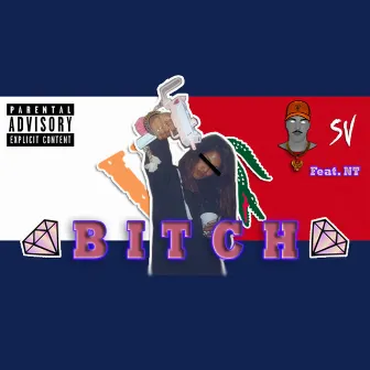 Bitch by SV