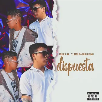 Dispuesta by JamesRK