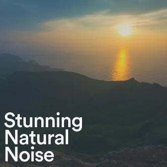 Stunning Natural Noise by White Noise Relaxation for Sleeping Babies