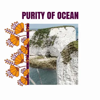 Purity of Ocean by 9D White Noise Machine