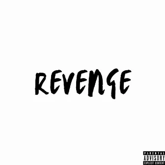 Revenge by Unknown Artist