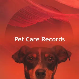 Pet Care Records by Calming Music For Pets