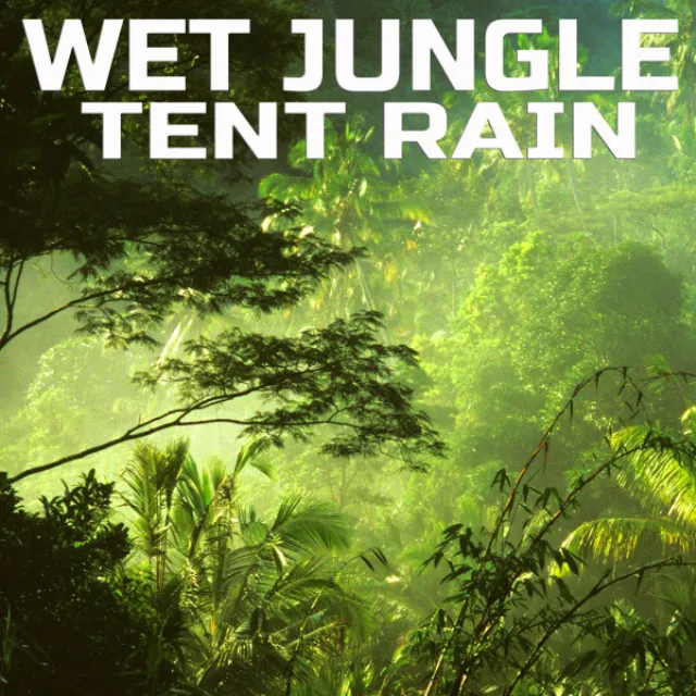 White Noise of Jungle Tent Rain