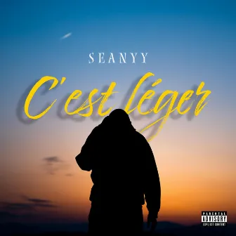 C'est léger by Seanyy