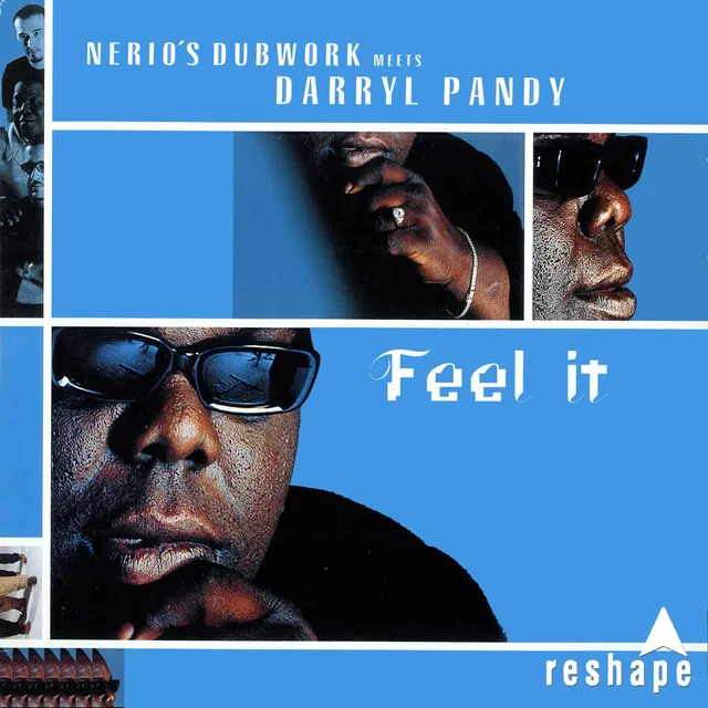 Feel It (feat. Darryl Pandy) [Nerio's Dubwork Meets Darryl Pandy]