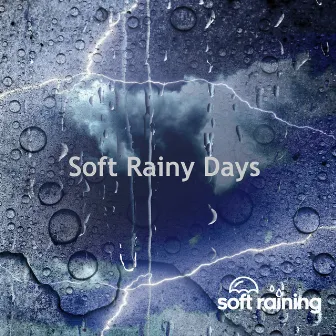 Soft Rainy Days by Soft Raining