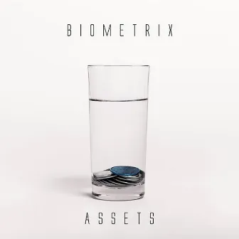 Assets by Biometrix