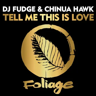 Tell Me This Is Love by Chinua Hawk