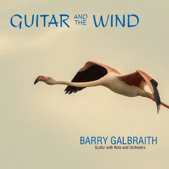 Guitar and the Wind by Barry Galbraith