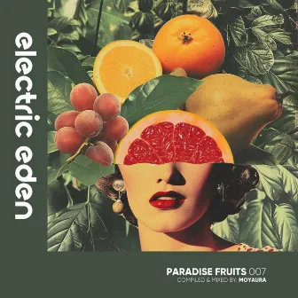 Paradise Fruits 007 (DJ Mix) by 