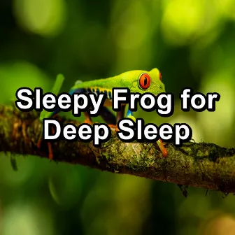 Sleepy Frog for Deep Sleep by Frog Sounds