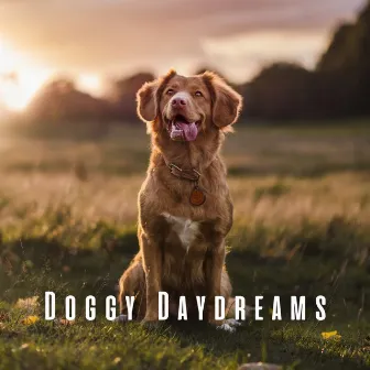 Doggy Daydreams: Lofi Beats for Canine Comfort by Doggy Music Radio