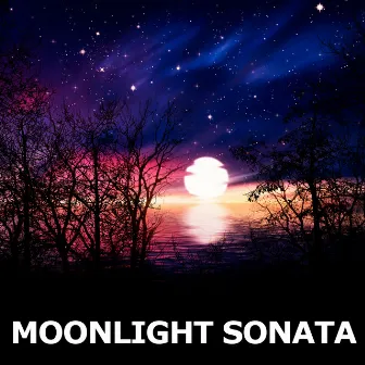 Moonlight Sonata by Martin Malto