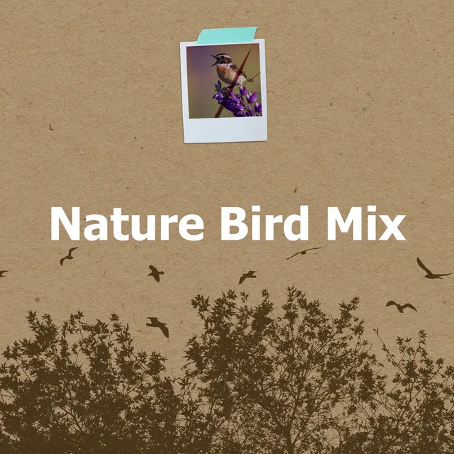 Nature Bird Mix