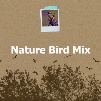 Nature Bird Mix by Nature Hive