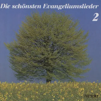 Die schönsten Evangeliumslieder 2 by Studiochor Evangeliumslieder