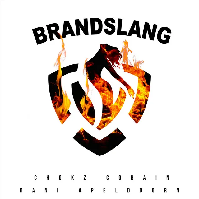 Brandslang