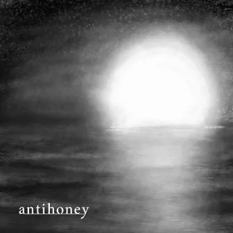 Hallelujah by antihoney