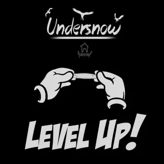 Level Up by Unknown Artist