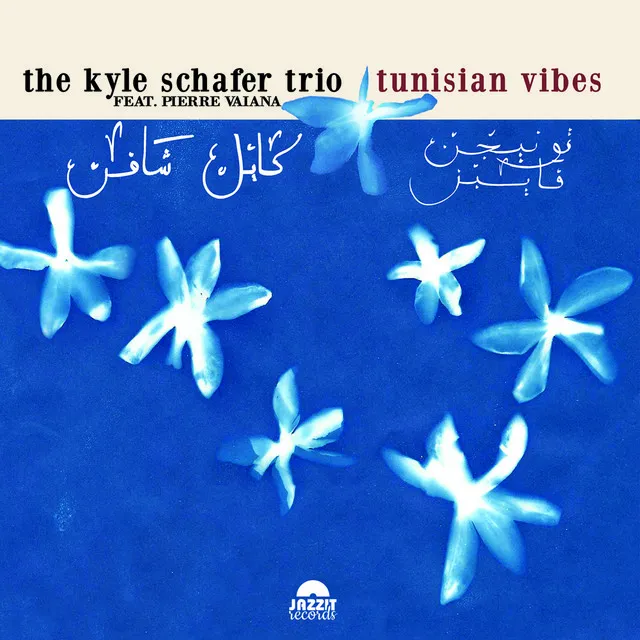 The Kyle Schafer Trio