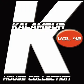 Kalambur House Collection, Vol. 42 by Blue River