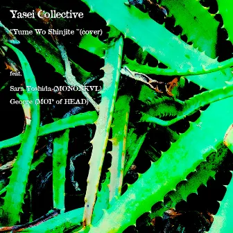 Yume Wo Shinjite [feat. 吉田沙良(モノンクル), George(Mop of Head)] by Yasei Collective