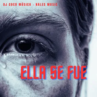 Ella se fue by Nales músic