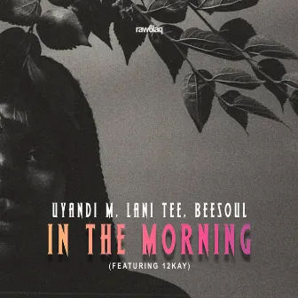 In the Morning by Unknown Artist