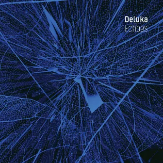 Echoes by Deluka