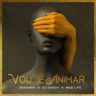 Vou Te Animar by Dj Ichigo