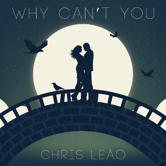 Why Can't You by Chris Leão