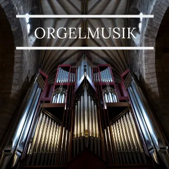 Orgelmusik by Johannes Pichler