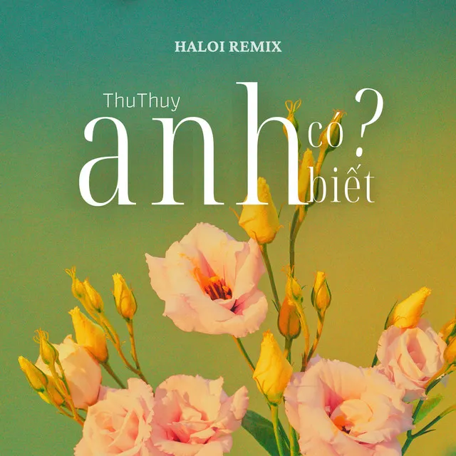 Anh Có Biết - Haloi Remix