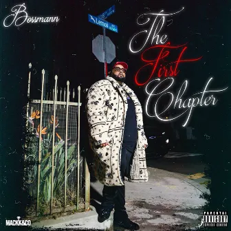 The First Chapter by Bossmann